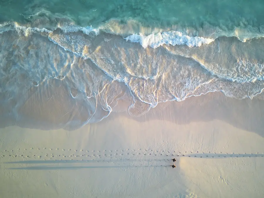 Pink Sand morning beach walks at The Potlatch Club, Eleuthera